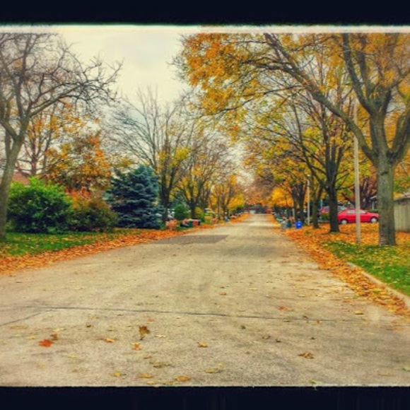 Meet your Posher, Hardeep - Picture 1 of 1